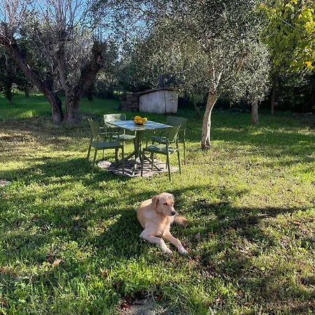Papiri Summerhouse * Agios Georgios (Corfu)